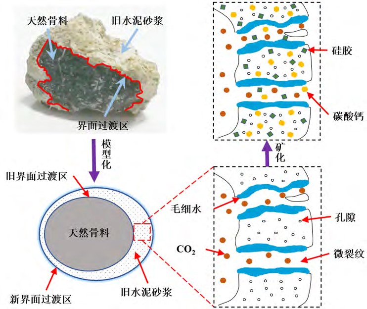 再生骨料矿化原理示意图.jpg 再生骨料矿化原理示意图.jpg